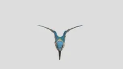 Bird Animations Alex