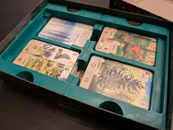 Forest Shuffle insert with extra space