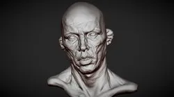 Head 3 from Heads Bundle 2