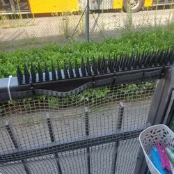 Anti-Pigeon/Cats Spikes