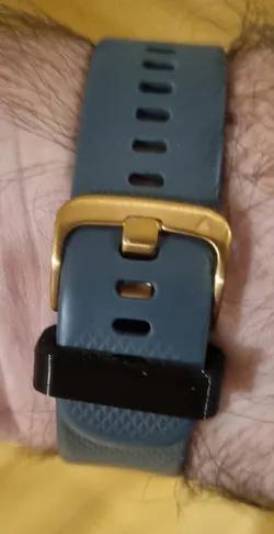 Band Keeper Garmin Vivoactiive 3