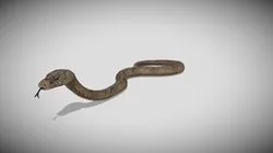 Medhue Python