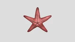 Starfish