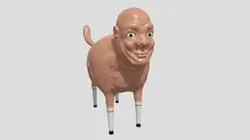Cat?