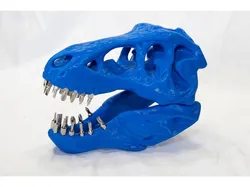 T-Rex 1/4" hex bit holder