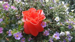 Vase mode flower