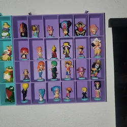 Wall-Mount Display Case