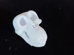 Archaeological Dig Animal Skull Model Crocodile Mammoth Bighorn Sheep Fossil Kids DIY Handmade Toy One-Click Print Colorable - Free 3D Print Model