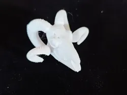 Archaeological Dig Animal Skull Model Crocodile Mammoth Bighorn Sheep Fossil Kids DIY Handmade Toy One-Click Print Colorable - Free 3D Print Model