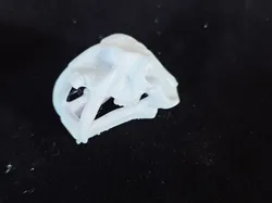Archaeological Dig Animal Skull Model Crocodile Mammoth Bighorn Sheep Fossil Kids DIY Handmade Toy One-Click Print Colorable - Free 3D Print Model