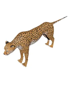 Cheetah