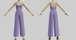 Crop Top Cami and Wide Leg Palazzo Pants Set - 2 Piece Clothing Outfit