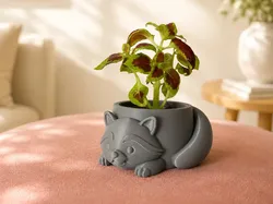 Cute Raccoon Planter  - Free 3D Print Model