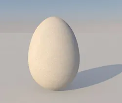 Egg 3D Model $29 - .c4d .3ds .fbx .obj