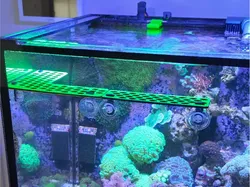Frag Deck with Suction Cup, Frag Plug Board Saltwater - Free 3D Print Model