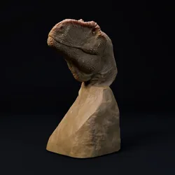 Giganotosaurus bust - pre supported