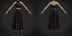 Halter Neck Crop Top and Maxi Skirt Two Piece Prom Dress Clothing
