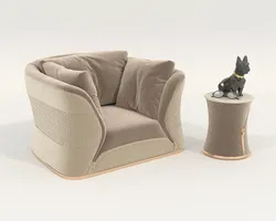 Luxury Armchair and Coffee Table Set