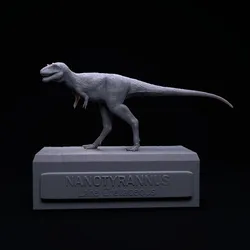 Nanotyrannus 1-35 specimen #005