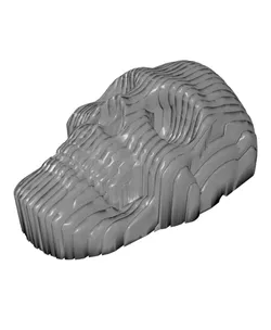 Quantum Skull