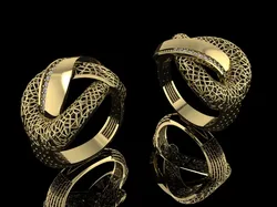 Ultra Vision Ring Printable Model Jewelry Gold Luxury 3D Print Model in Rings 631920