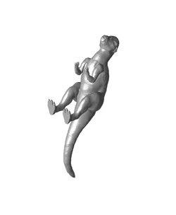 Pachycephalosaurus