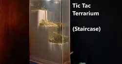 Tic Tac Nano Terrarium