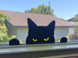 Angry Guard Cat