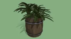 barrel full of plants