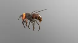 Bee
