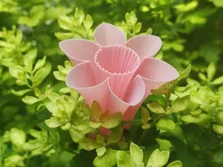Vase / Spiral mode flower