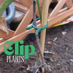 Clip Sostegno Piante