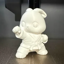Karate Bunny Fighter
