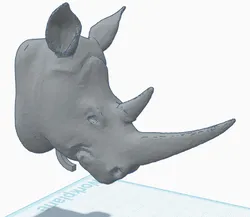 Rhino Knocker