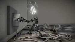 Rise of a Bulb