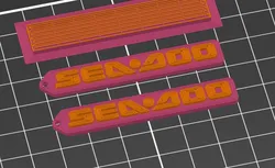 Sea-Doo keychain