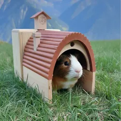 مجاني Pets STL تنزيل - Pet House - Majeranek