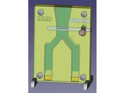 Bird Brain Bird Puzzle for Birds #2