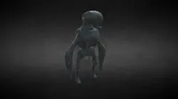 Character Modeling