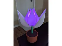 Flower Lampshade Remix