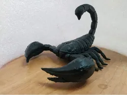 Huge scorpion