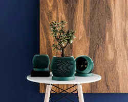 Indoor Plant Pot with Drainage and Drip tray
