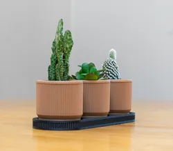 Mid Century Modern Mini Plant Pots with Tray