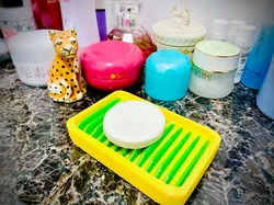 NEAT - Soap Dish