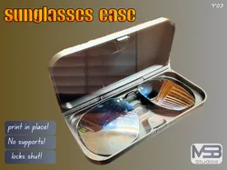 sunglasses case