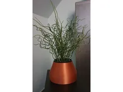 Vase with Plant Insert