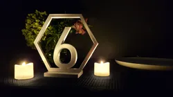 Hexagon Table Numbers