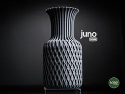 juno • vase