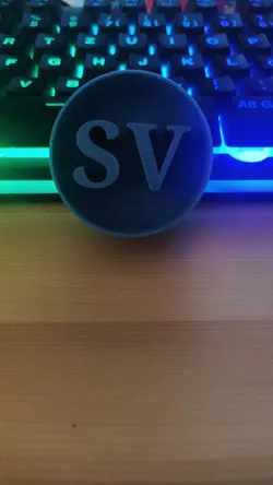 Logo Schüler Vertretung