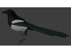 Magpie